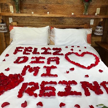 Casa Del Rio En Mindo B&B 외부 사진