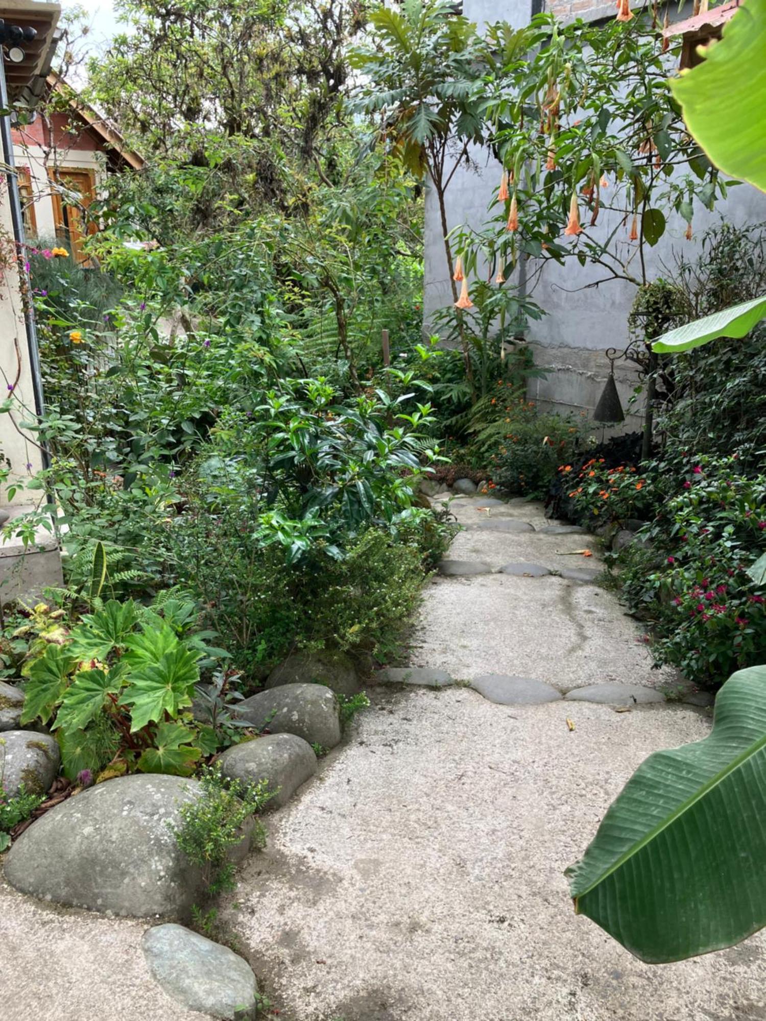 Casa Del Rio En Mindo B&B 외부 사진