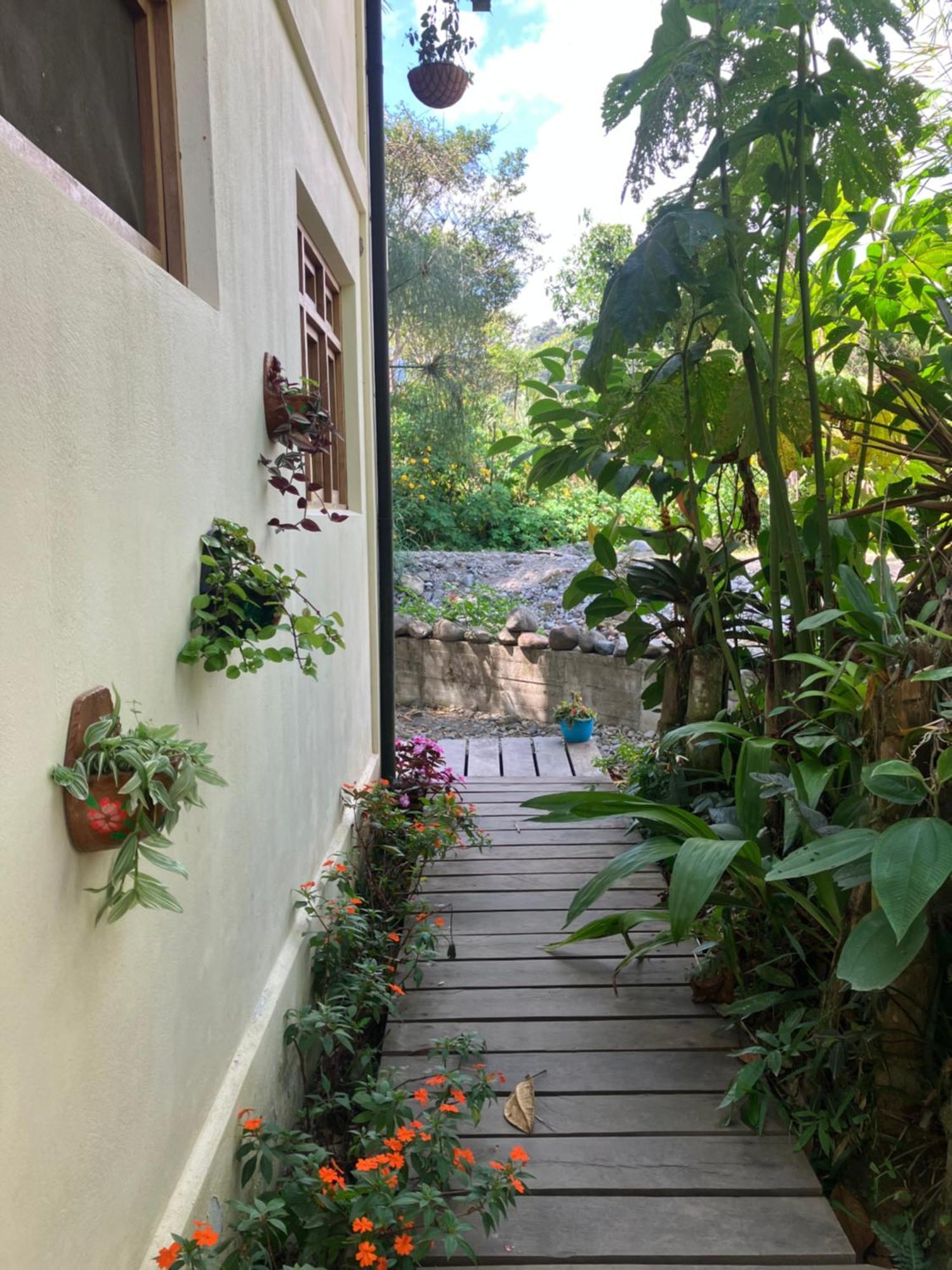 Casa Del Rio En Mindo B&B 외부 사진