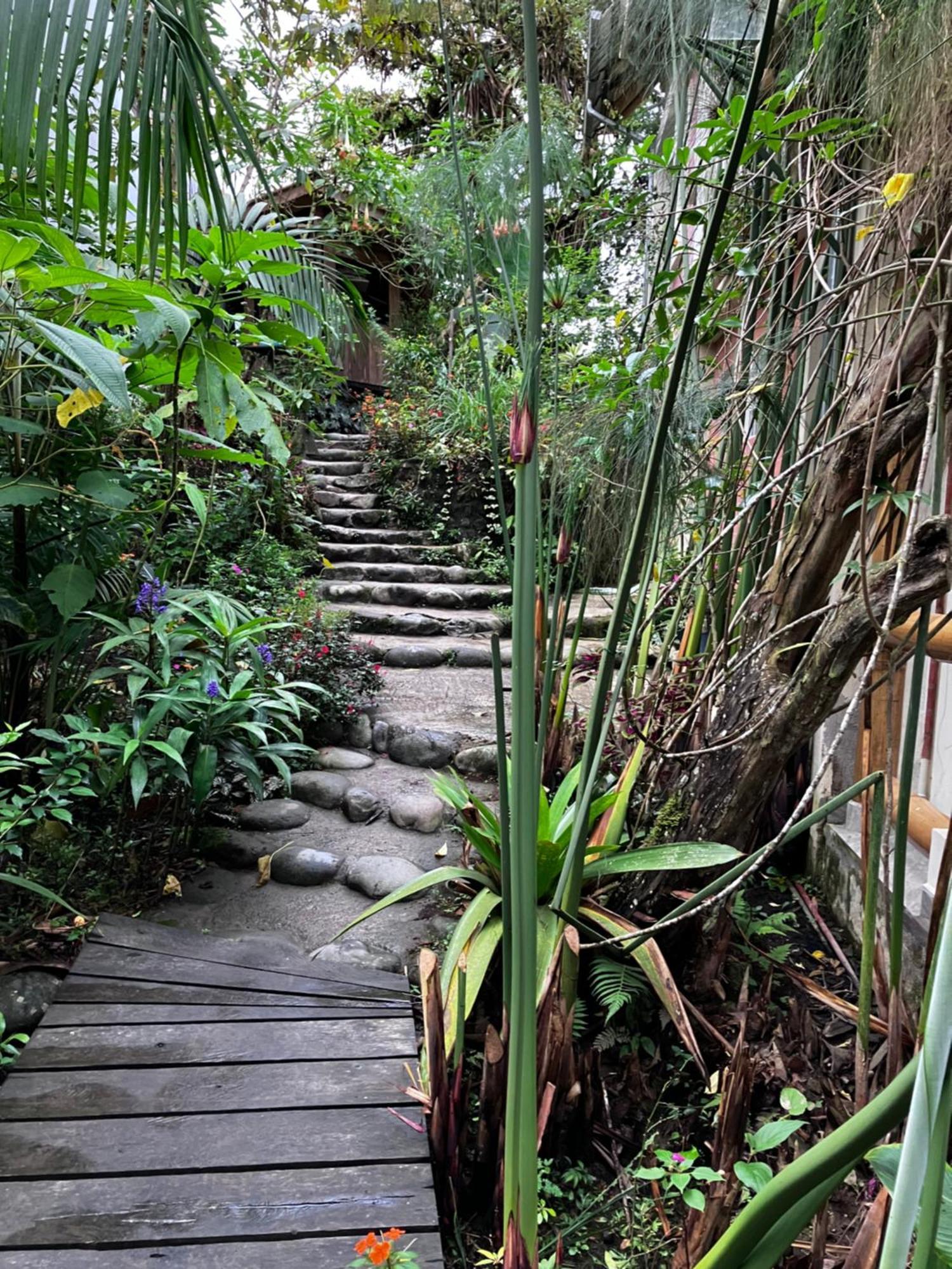 Casa Del Rio En Mindo B&B 외부 사진
