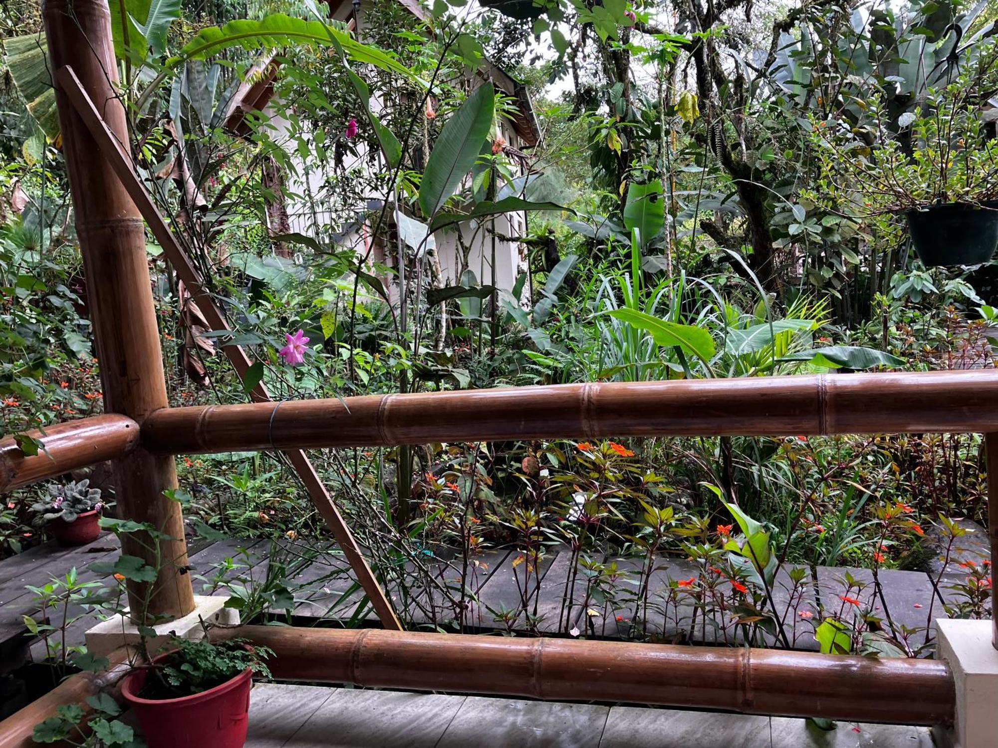 Casa Del Rio En Mindo B&B 외부 사진