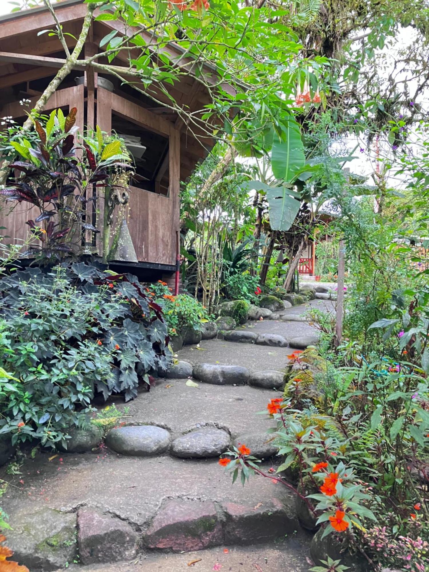 Casa Del Rio En Mindo B&B 외부 사진