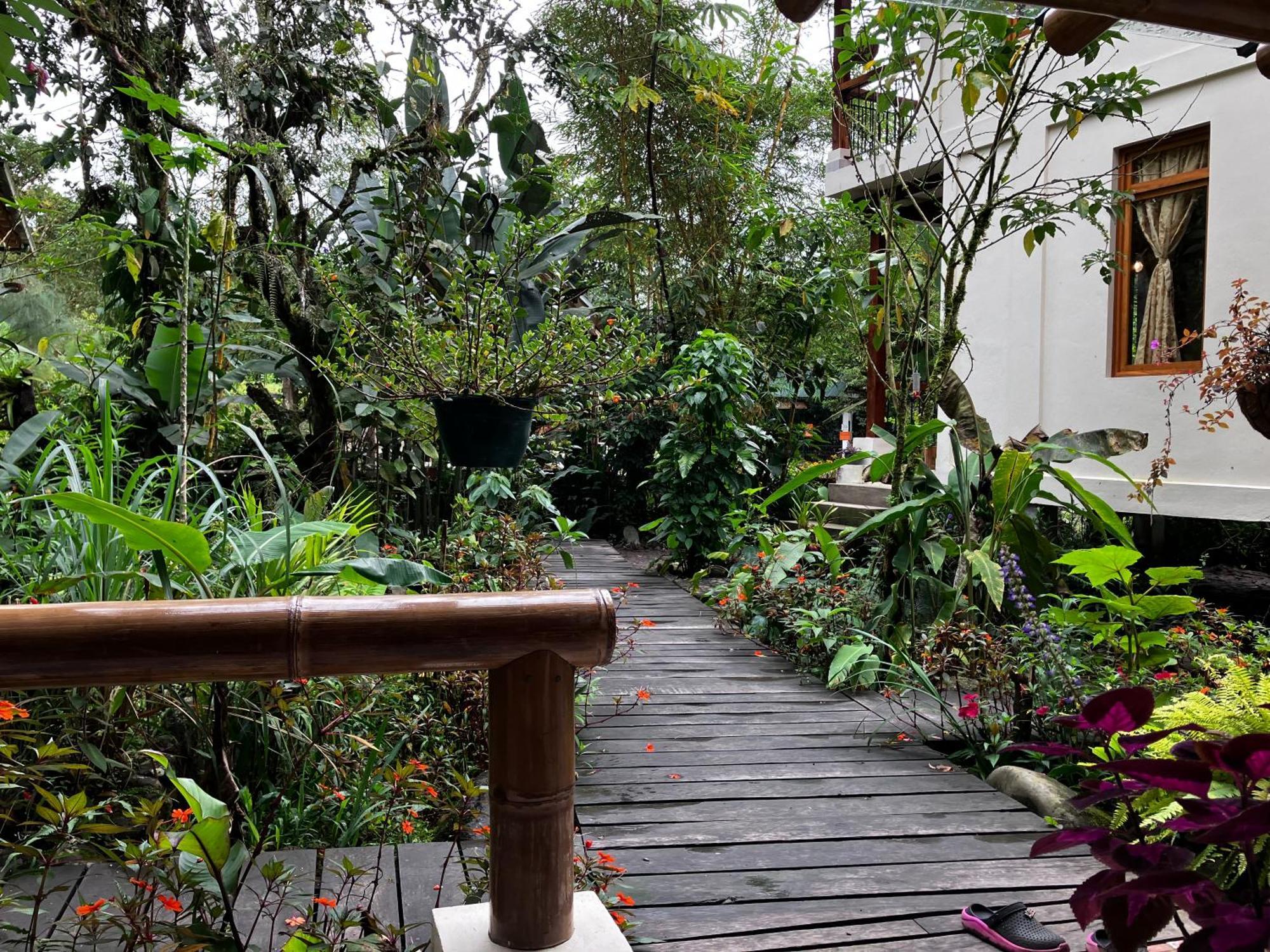 Casa Del Rio En Mindo B&B 외부 사진