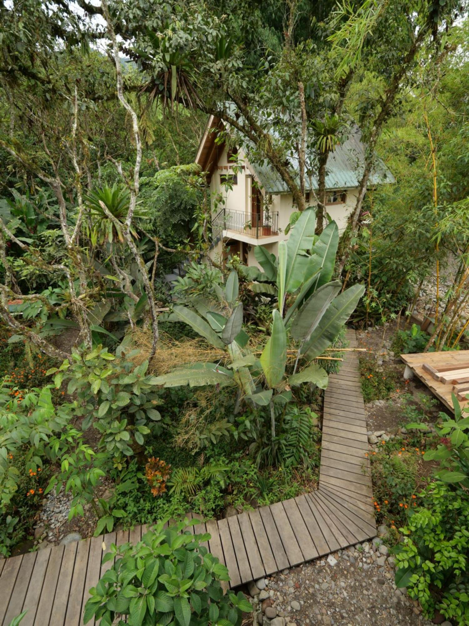 Casa Del Rio En Mindo B&B 외부 사진