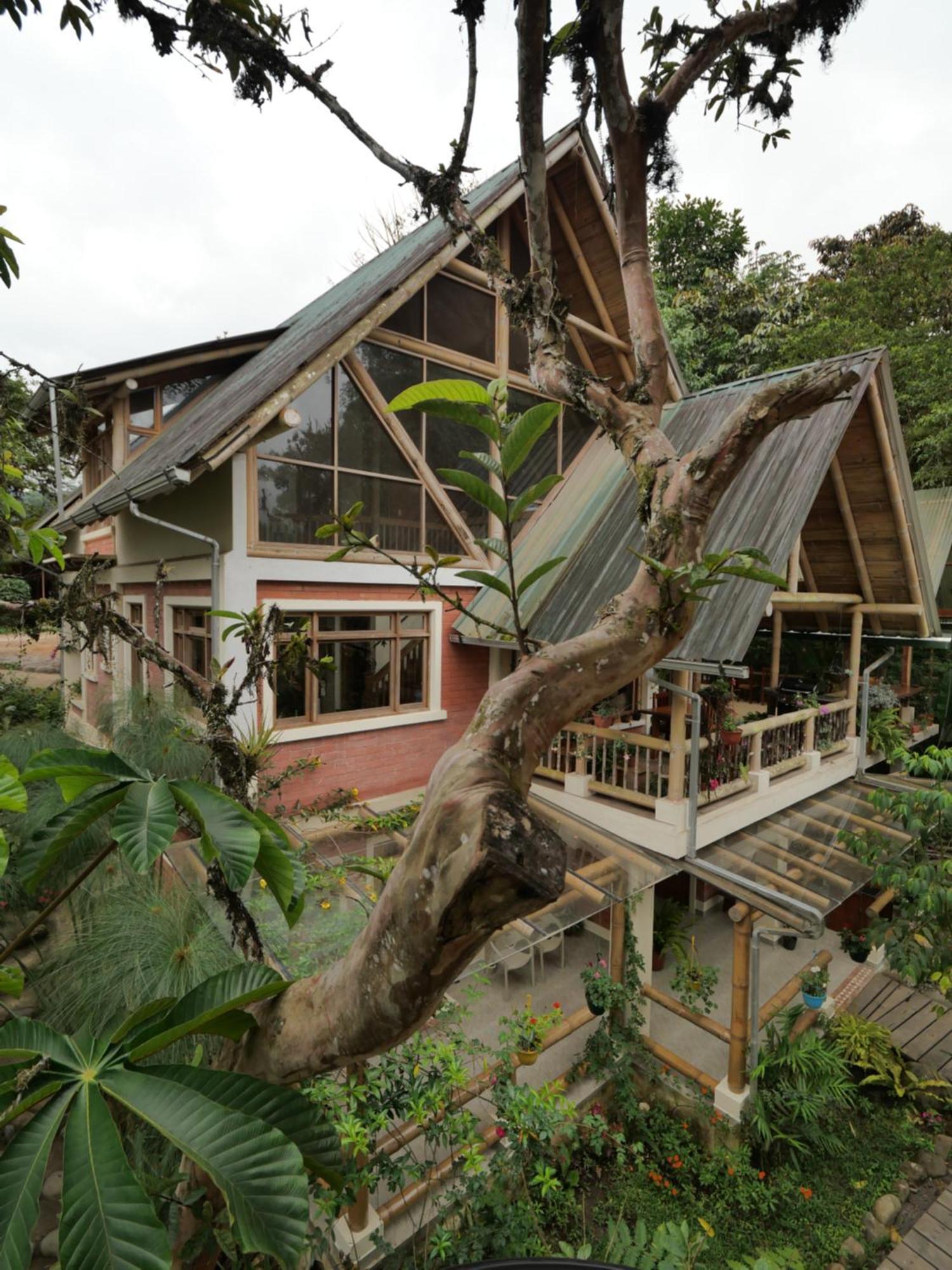 Casa Del Rio En Mindo B&B 외부 사진