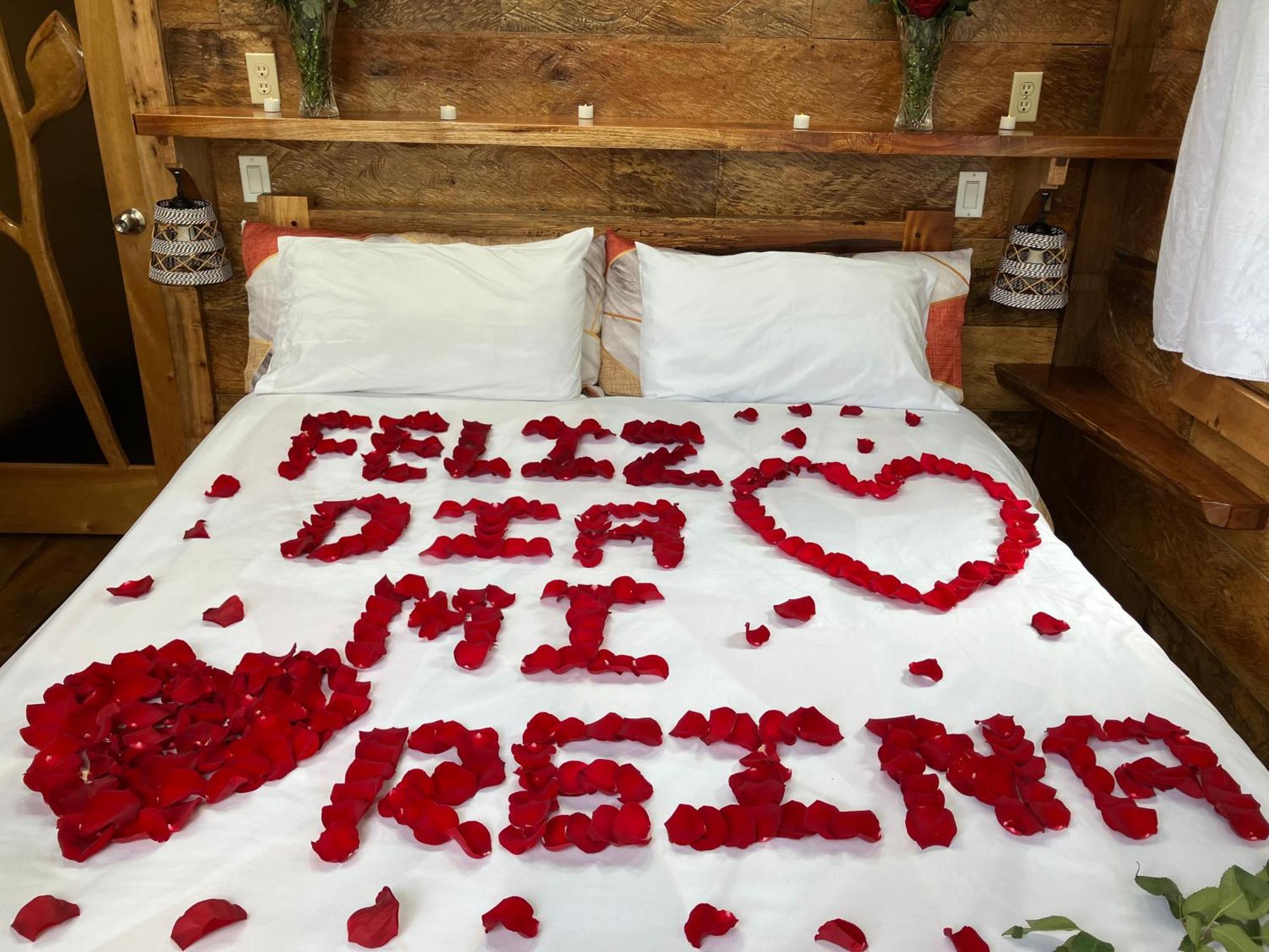 Casa Del Rio En Mindo B&B 외부 사진