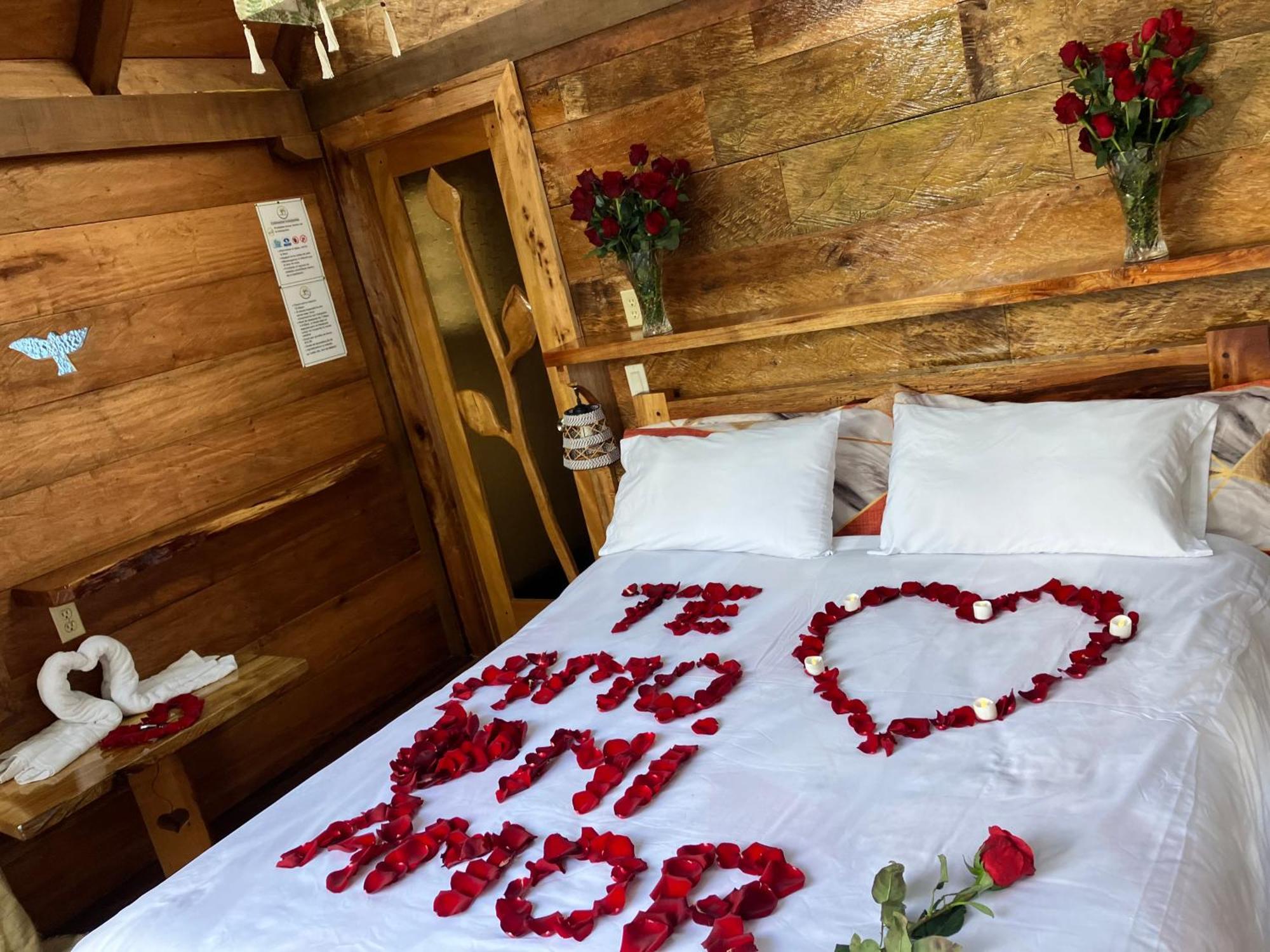 Casa Del Rio En Mindo B&B 외부 사진
